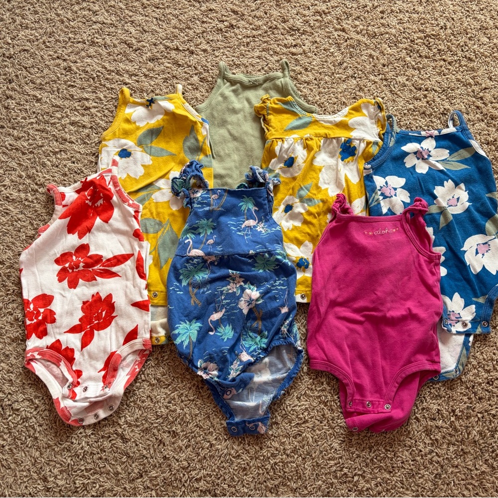 18M Carter's Multi-Color Floral & Solid Baby One-Piece Bodysuit Lot